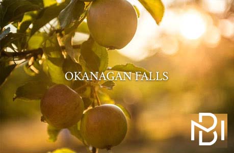 okanagan falls south 